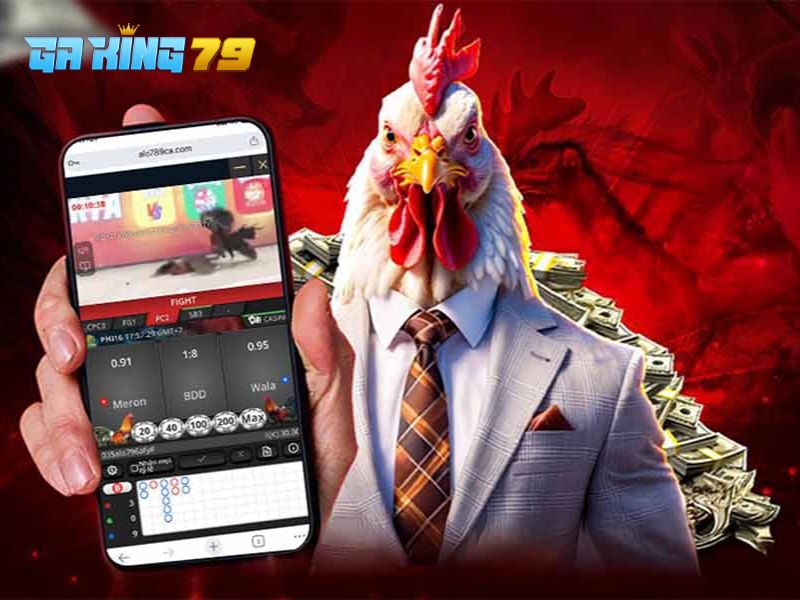 Danh sách bồ gà phát trên nền tảng liên tục được mở rộng