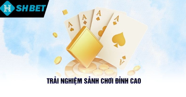 Mẹo thực chiến về bắt cầu, chiến thuật, tâm lý và an toàn tài khoản